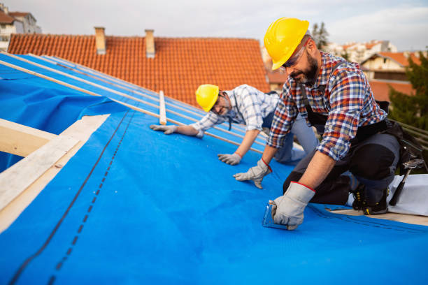 Best Emergency Roof Repair  in Edison, GA