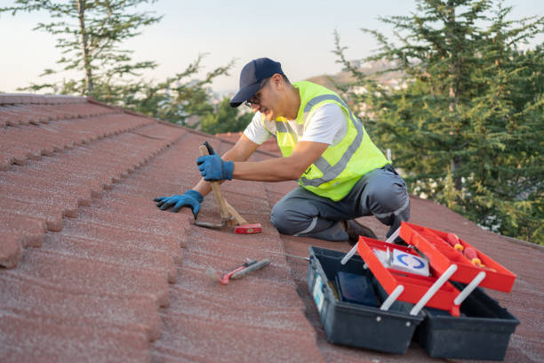Best Roof Gutter Cleaning  in Edison, GA