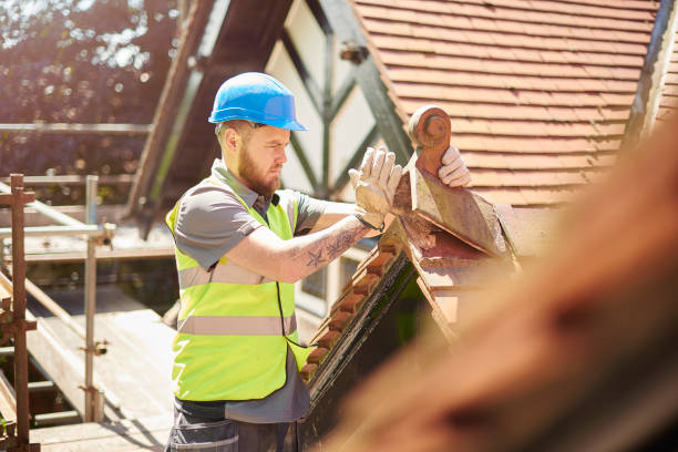 Best Storm Damage Roof Repair  in Edison, GA