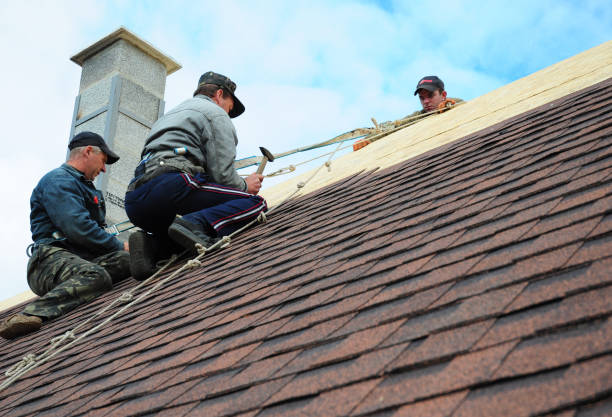Best Local Roofing Companies  in Edison, GA