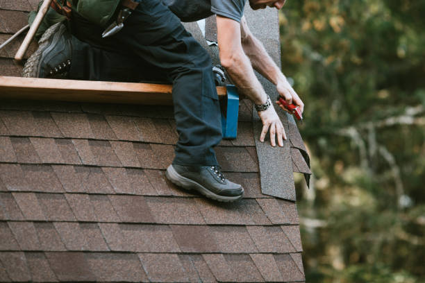 Best New Roof Installation  in Edison, GA